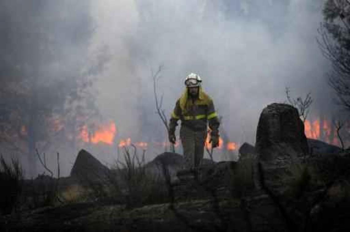 Brand op Mallorca legt 75 hectare bos in de as - 60 huizen ontruimd
