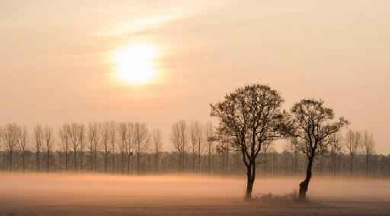 Weerbericht: zachte overgang van oud naar nieuw