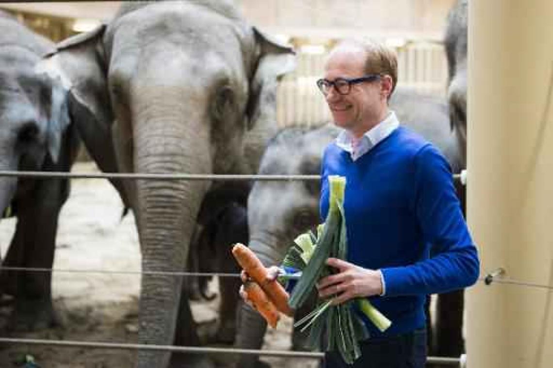Straffen voor recidiverende dierenmishandelaars worden verdrievoudigd