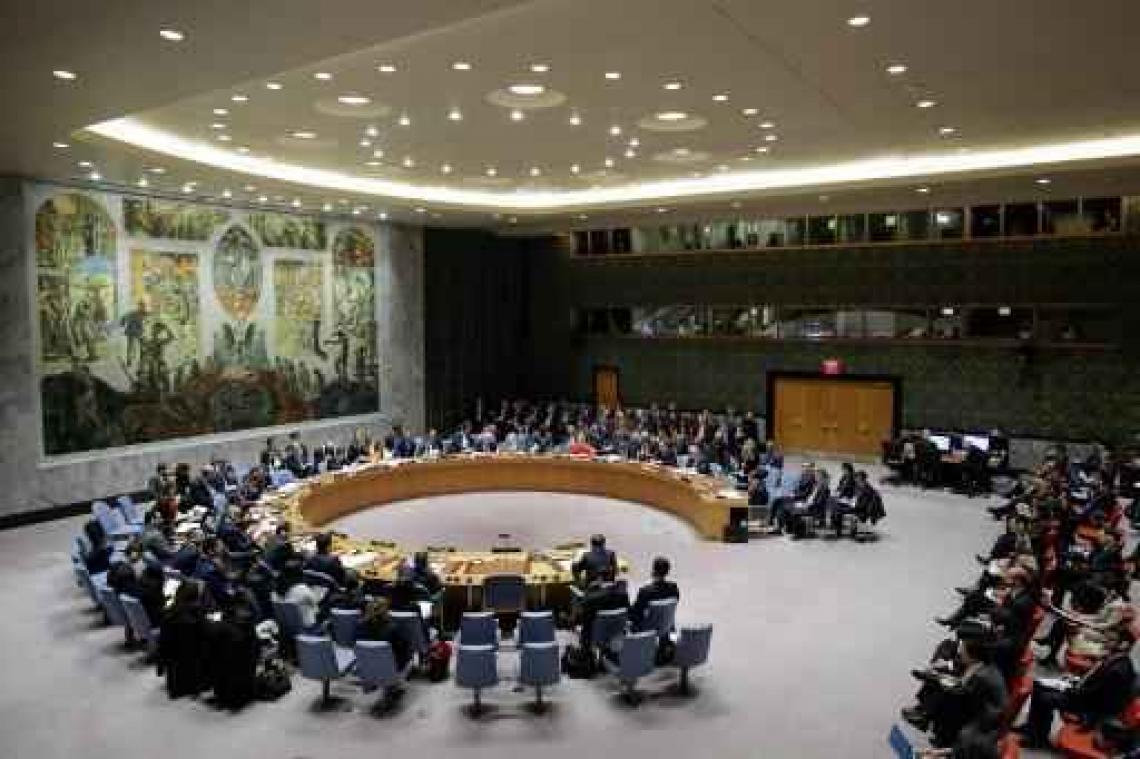Zes landen, waaronder Nederland en Polen, doen intrede in VN-Veiligheidsraad