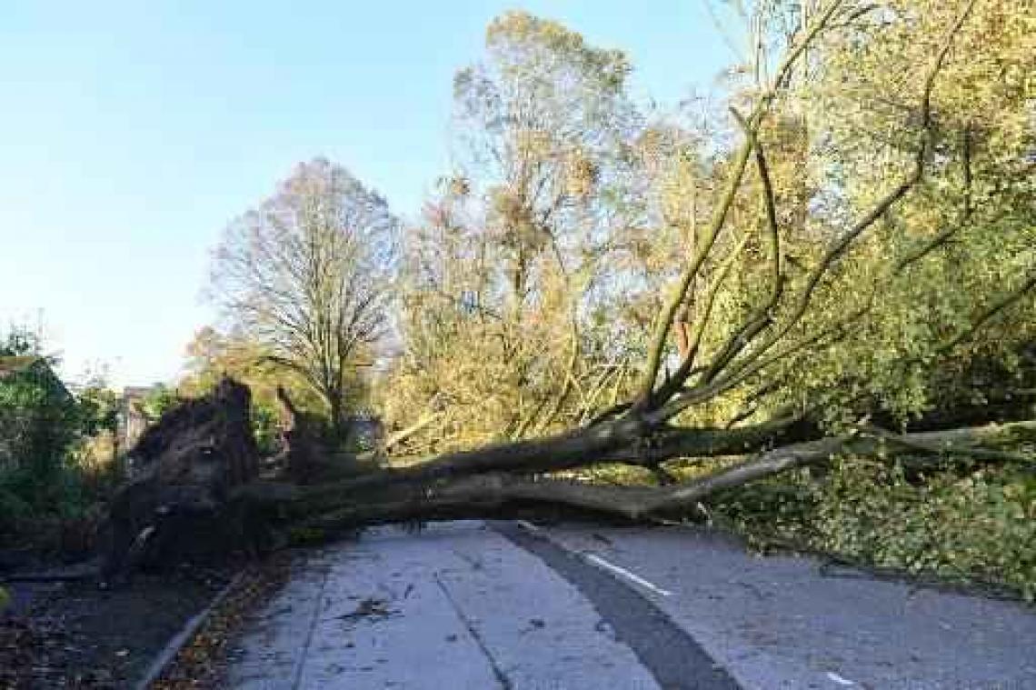 Storm Eleanor zet duizenden Britse en Ierse gezinnen zonder stroom