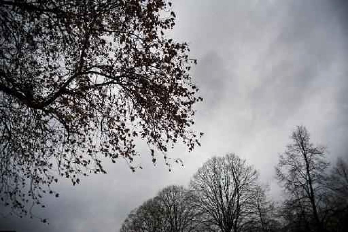 Weerbericht: eerst nog wat regen, dan droger maar grijs