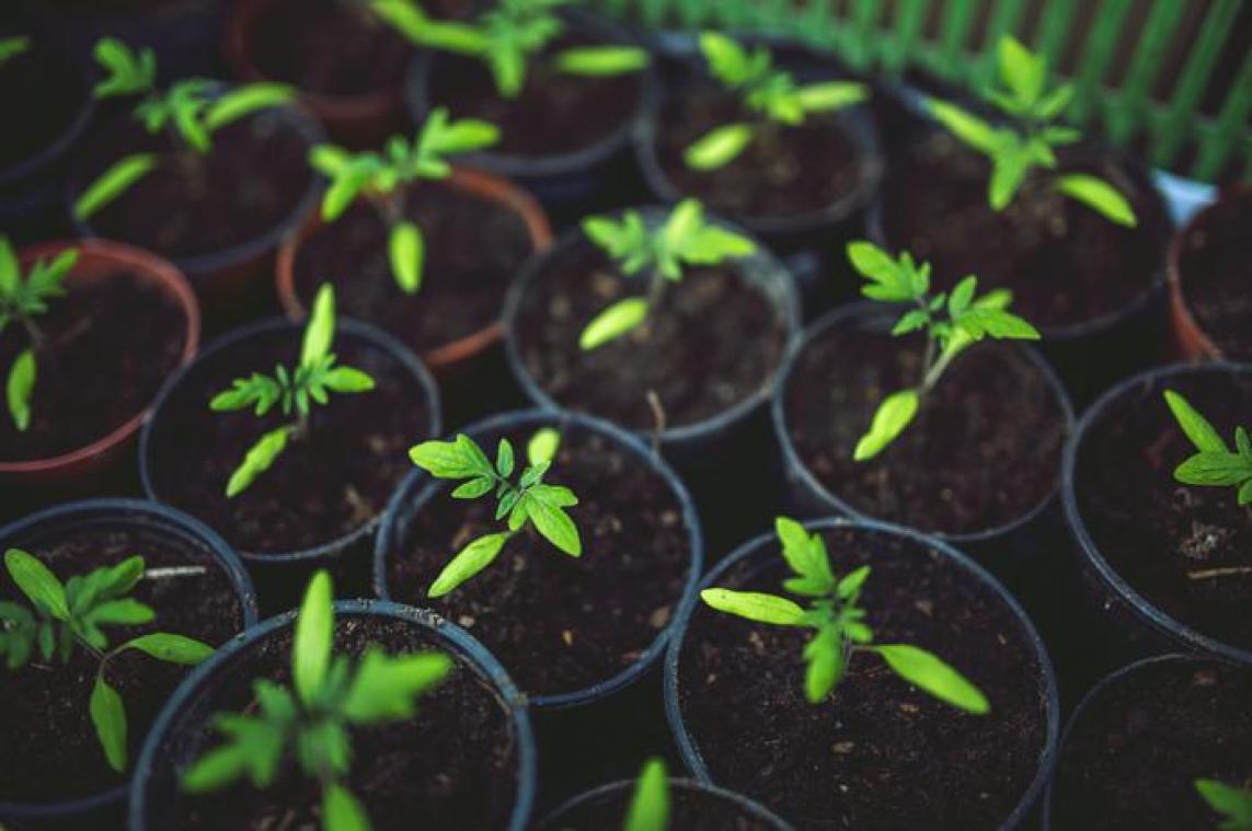 Groene producten kampen met te vrouwelijk imago