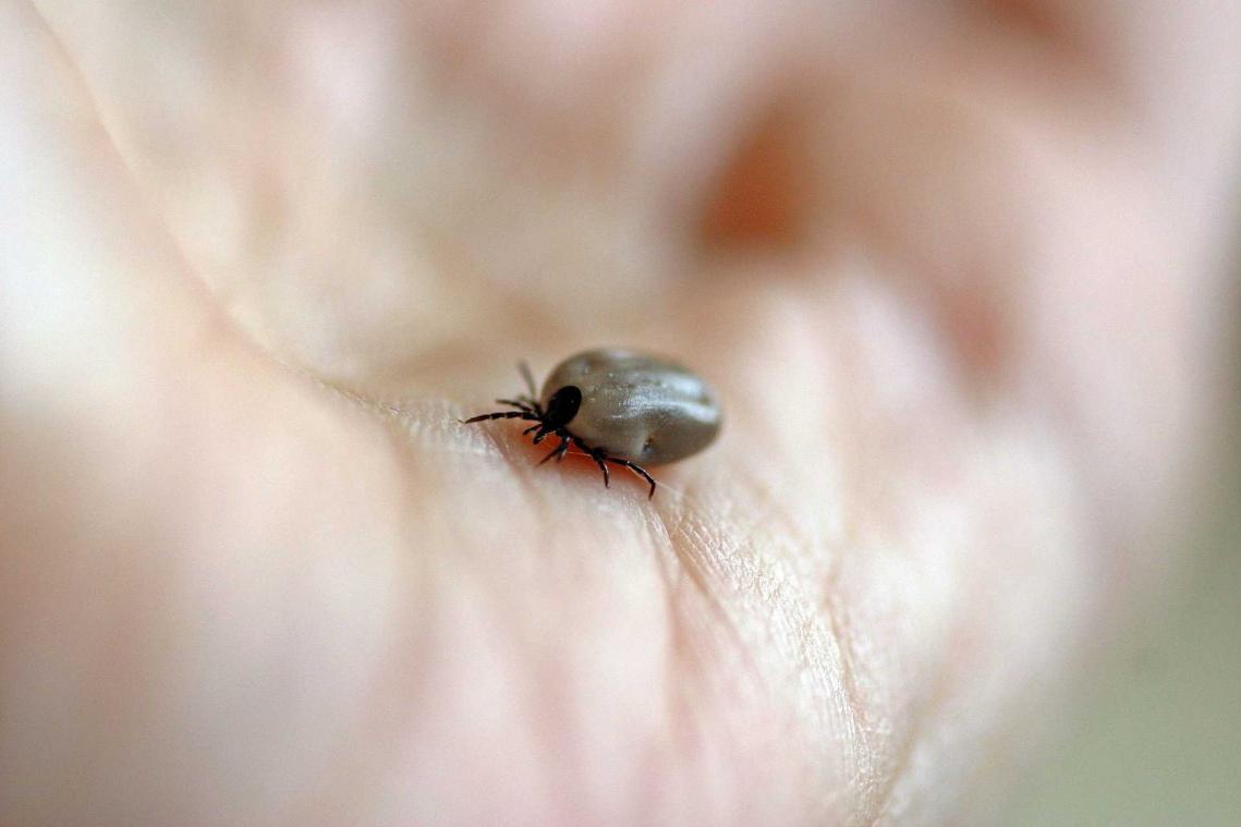 "Met één prikje beschermd tegen de ziekte van Lyme"