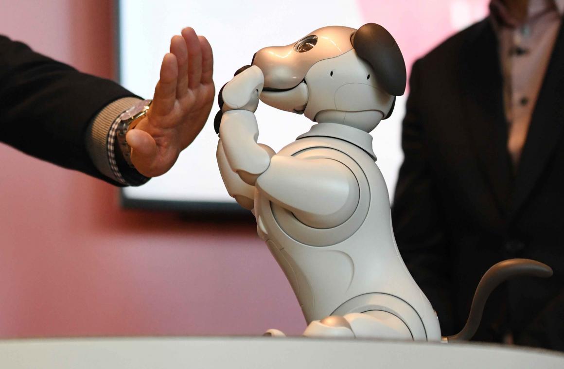 Maak kennis met Aibo, de nieuwe robothond van Sony