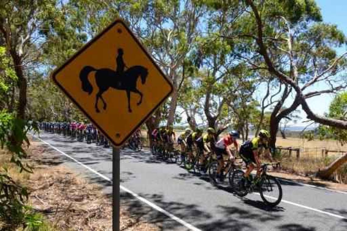 Tour Down Under - Olympisch kampioen Viviani wint derde rit