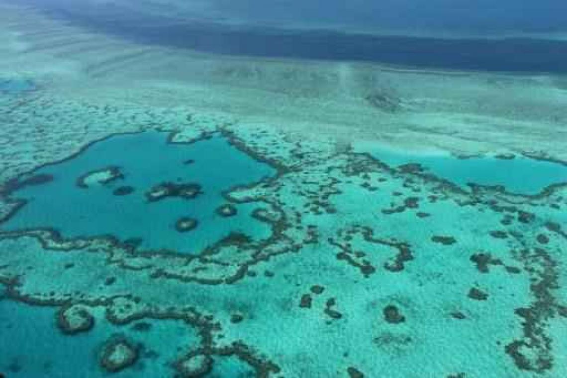 Australië zet 40 miljoen euro opzij voor redding Great Barrier Reef