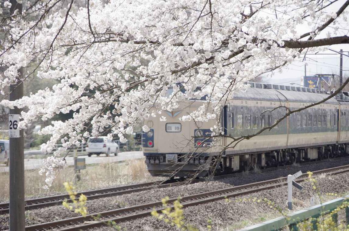 Japanse treinen blaffen om herten weg te jagen