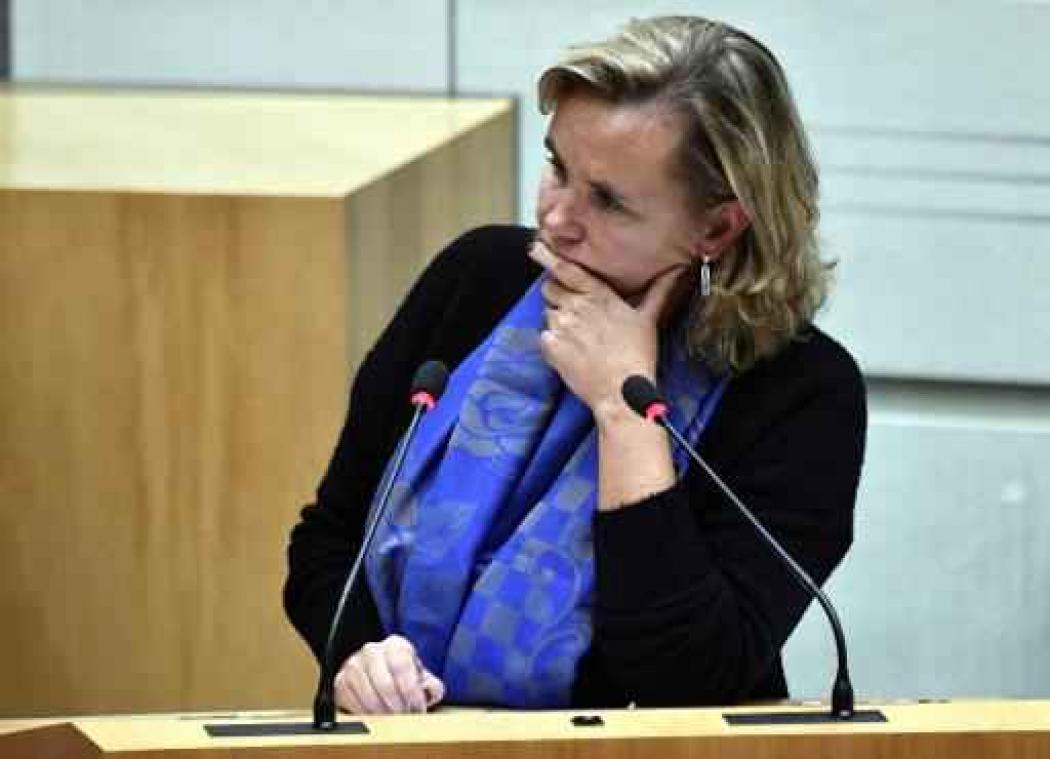 Lokale Vlaamse ambtenaren kunnen binnenkort ook pleegzorgverlof opnemen