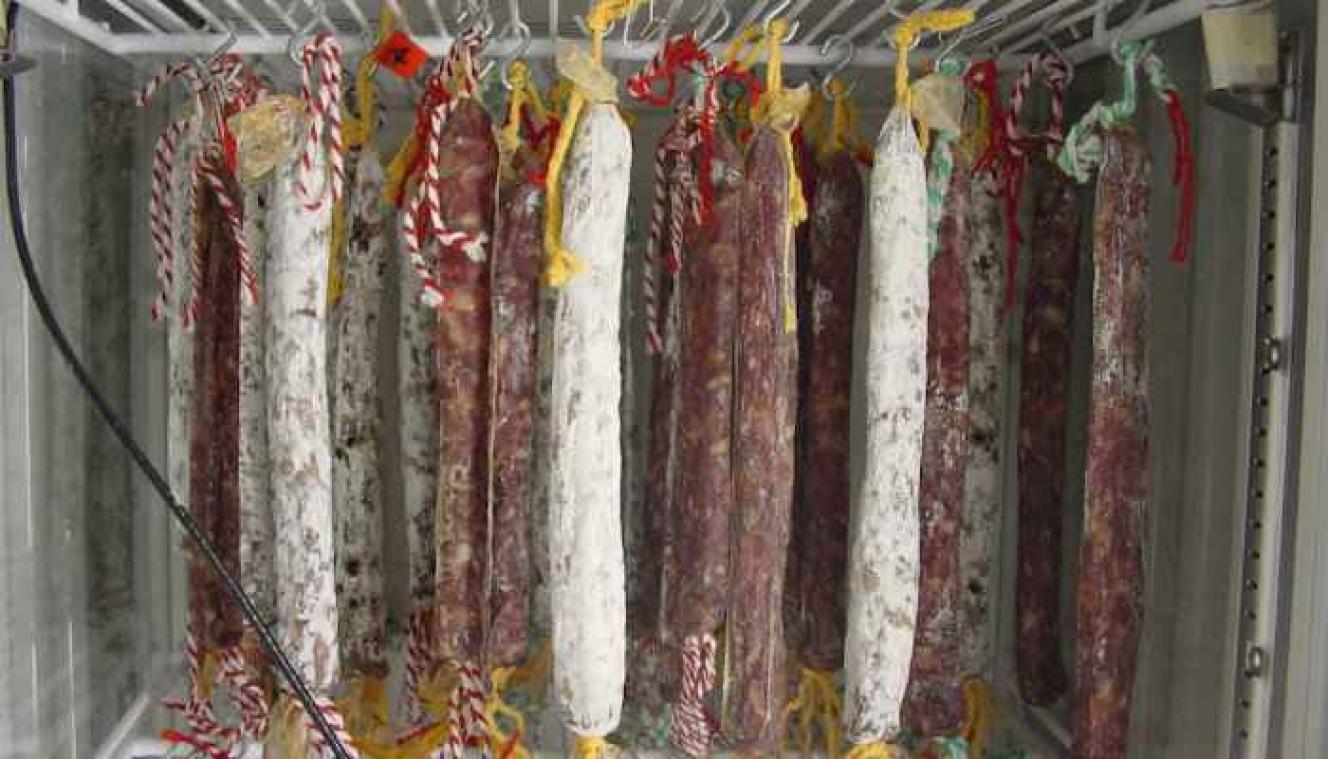 Bacteriën uit volle luiers zorgen voor gezondere worst 