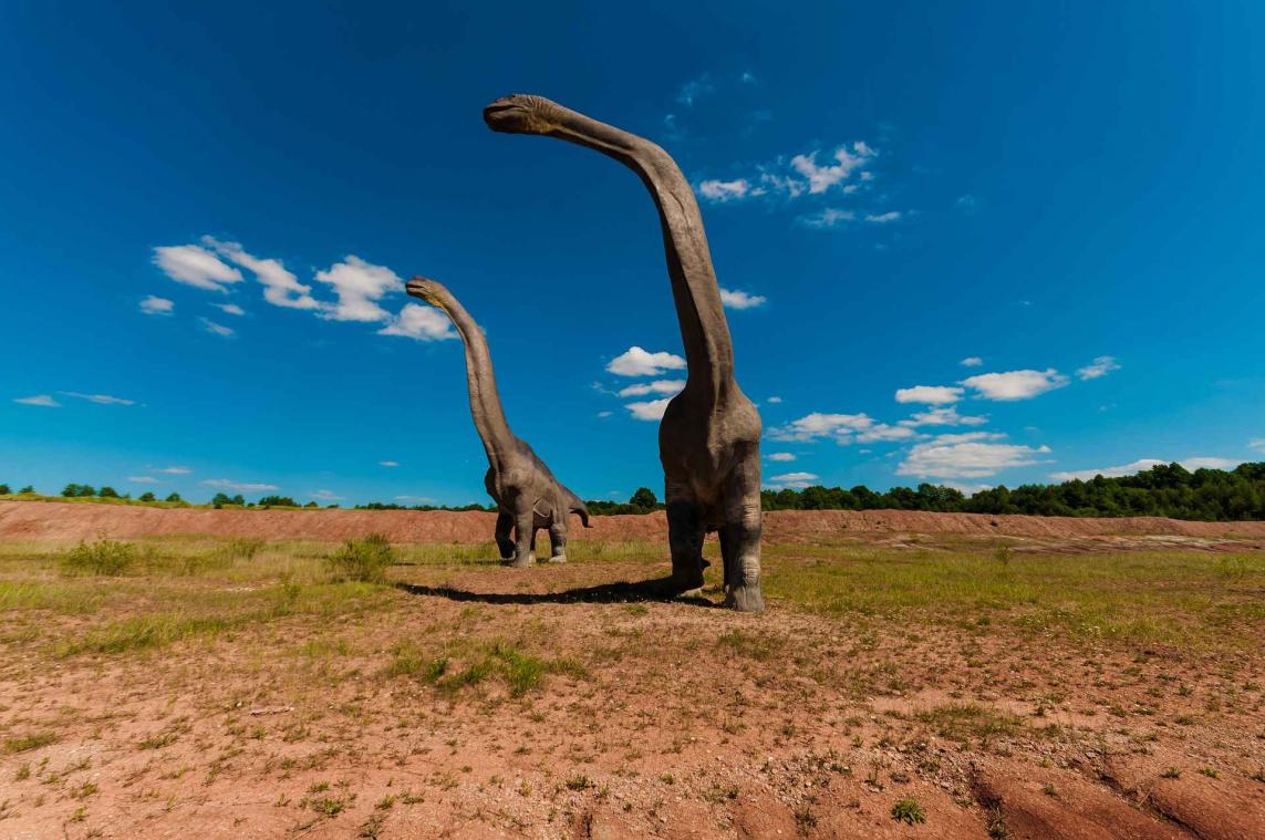 Wetenschappers doen Jurassic Park-achtige ontdekking
