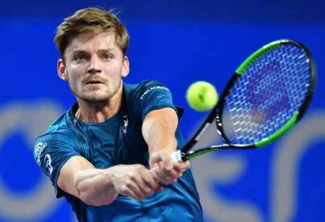 ATP Montpellier - David Goffin naar halve finales