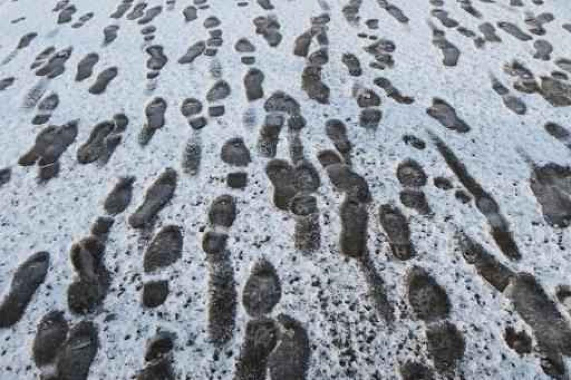 Weerbericht - Ardennen krijgen verse sneeuw in de loop van de nacht