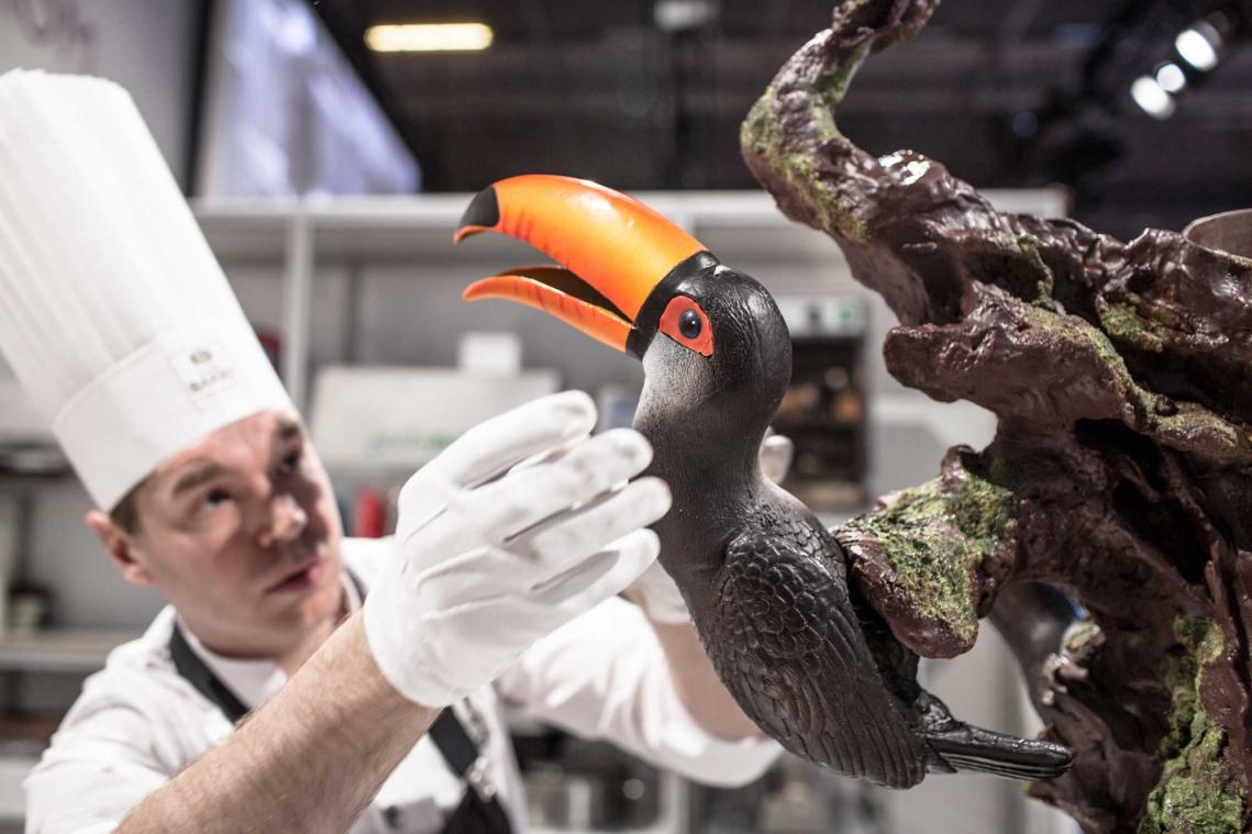 De mooiste chocoladecreaties ter wereld
