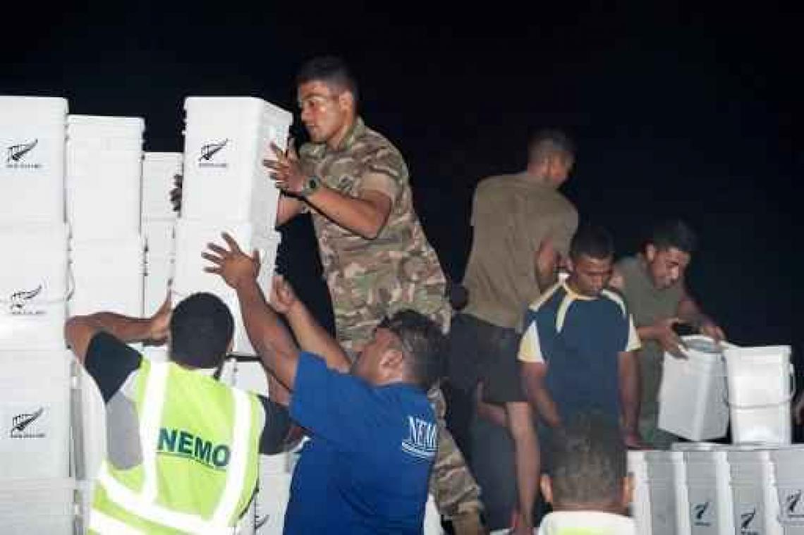 Eerste internationale hulp arriveert in Tonga