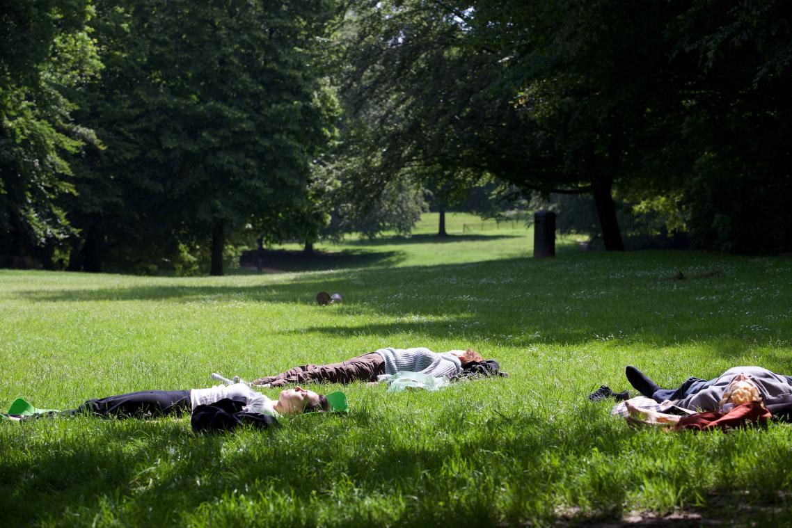 Je kan vanaf nu ook trouwen in Brusselse parken