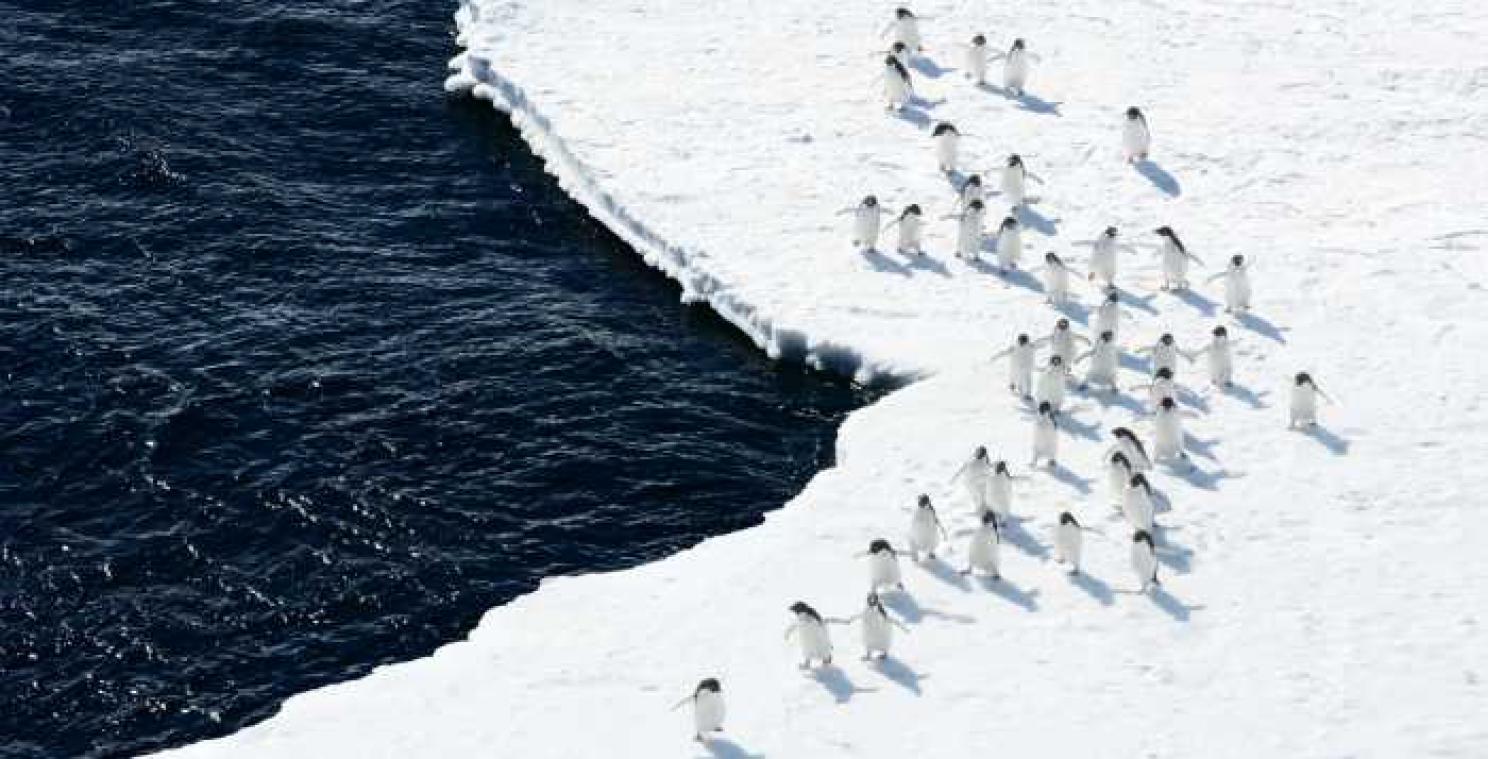 NASA ziet Antarctica aangroeien