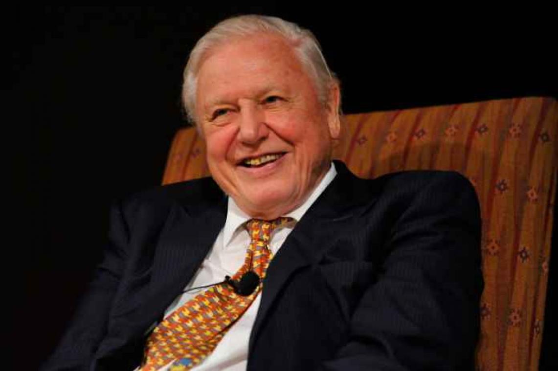 BBC kondigt nieuwe natuurreeks met David Attenborough aan