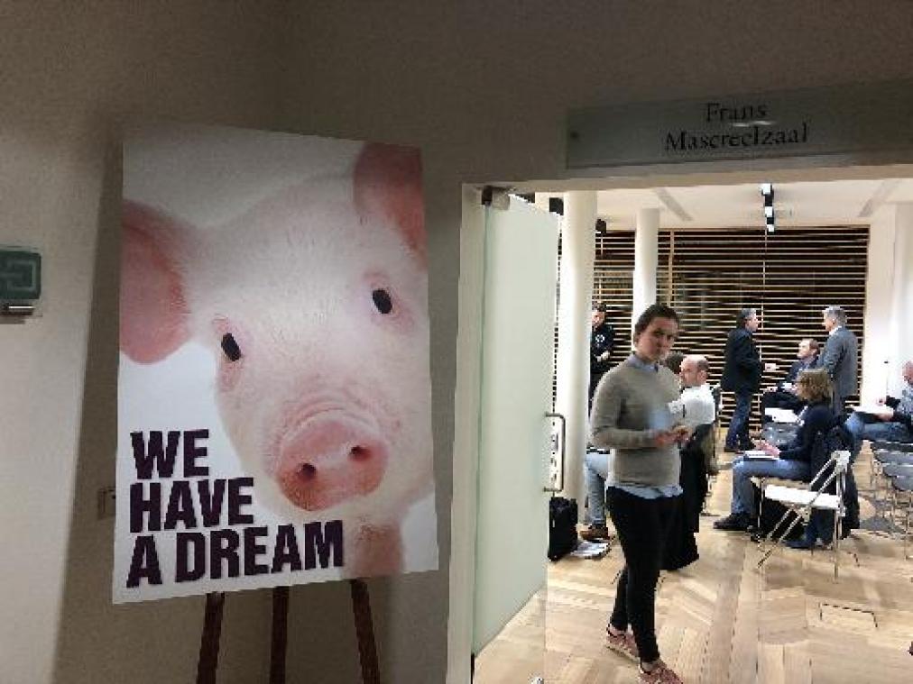 Gaia eist inwerkingtreding van verbod op chirurgische castratie bij biggen