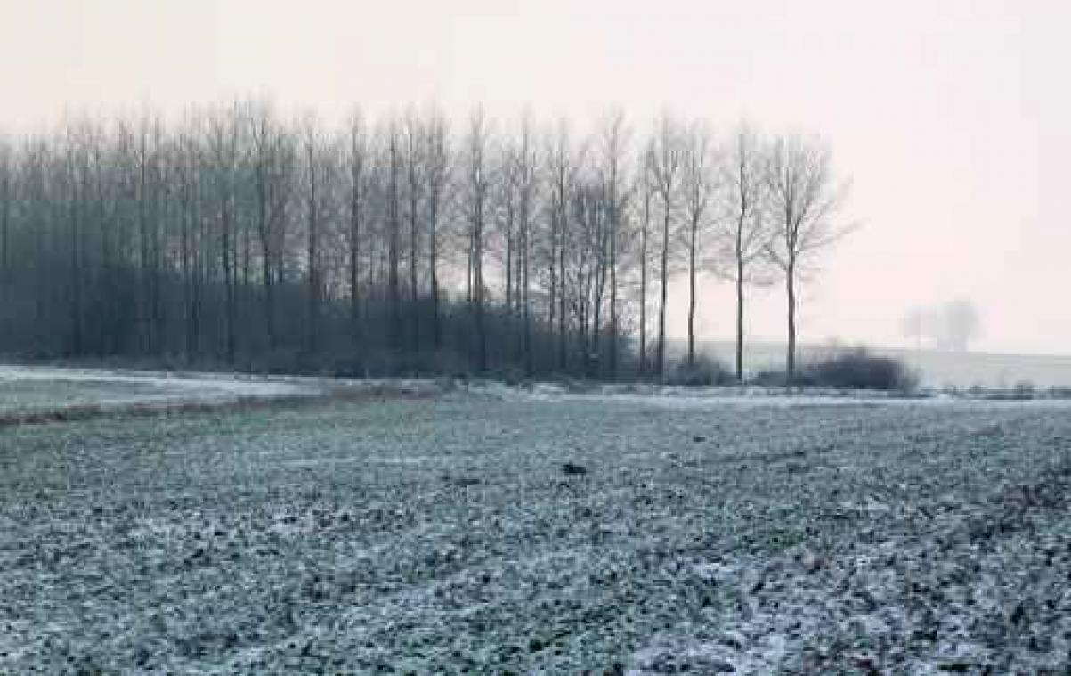 Koning Winter toont zijn tanden