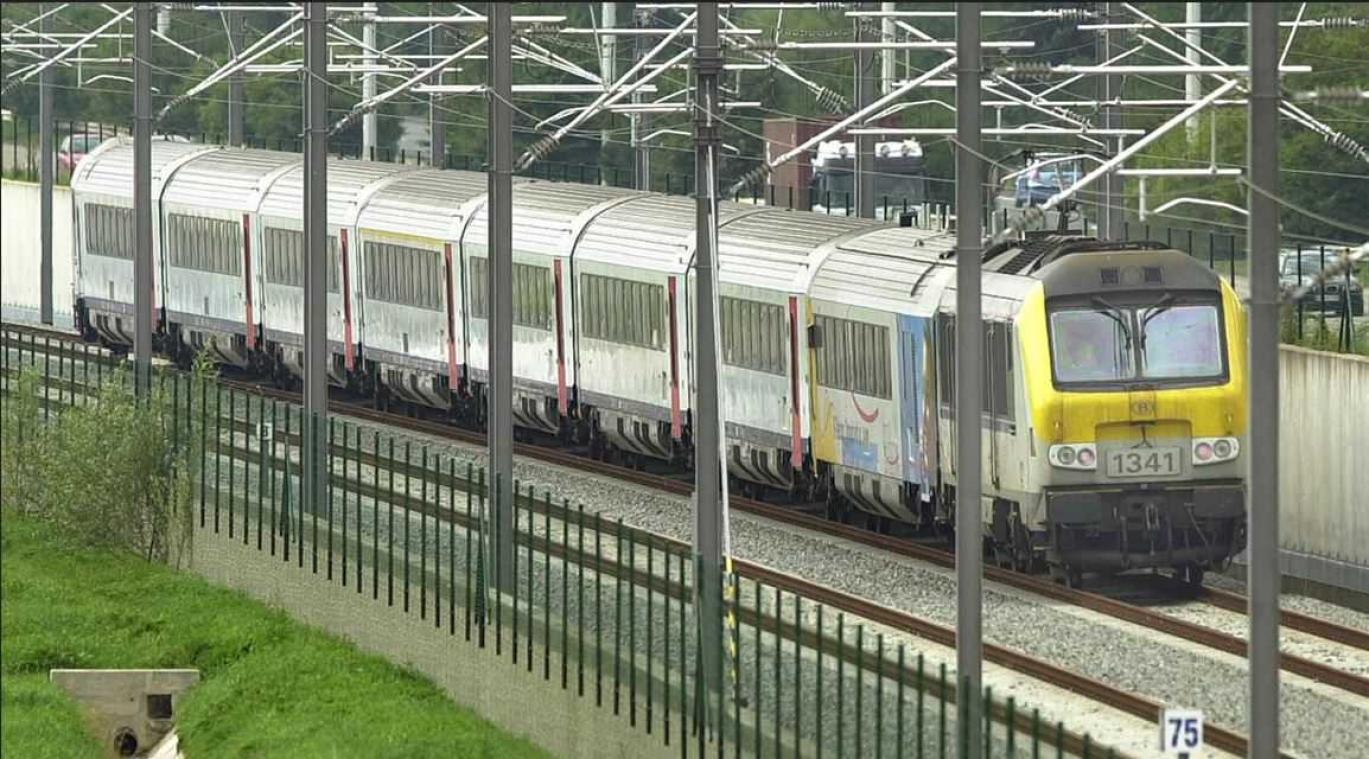 Gewassen langs spoorweg bevatten metaal