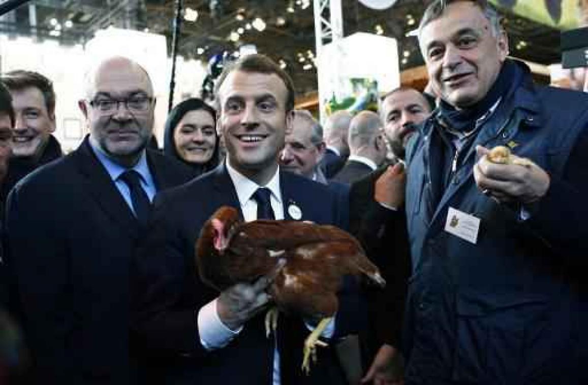 Macron neemt kip onder zijn vleugels