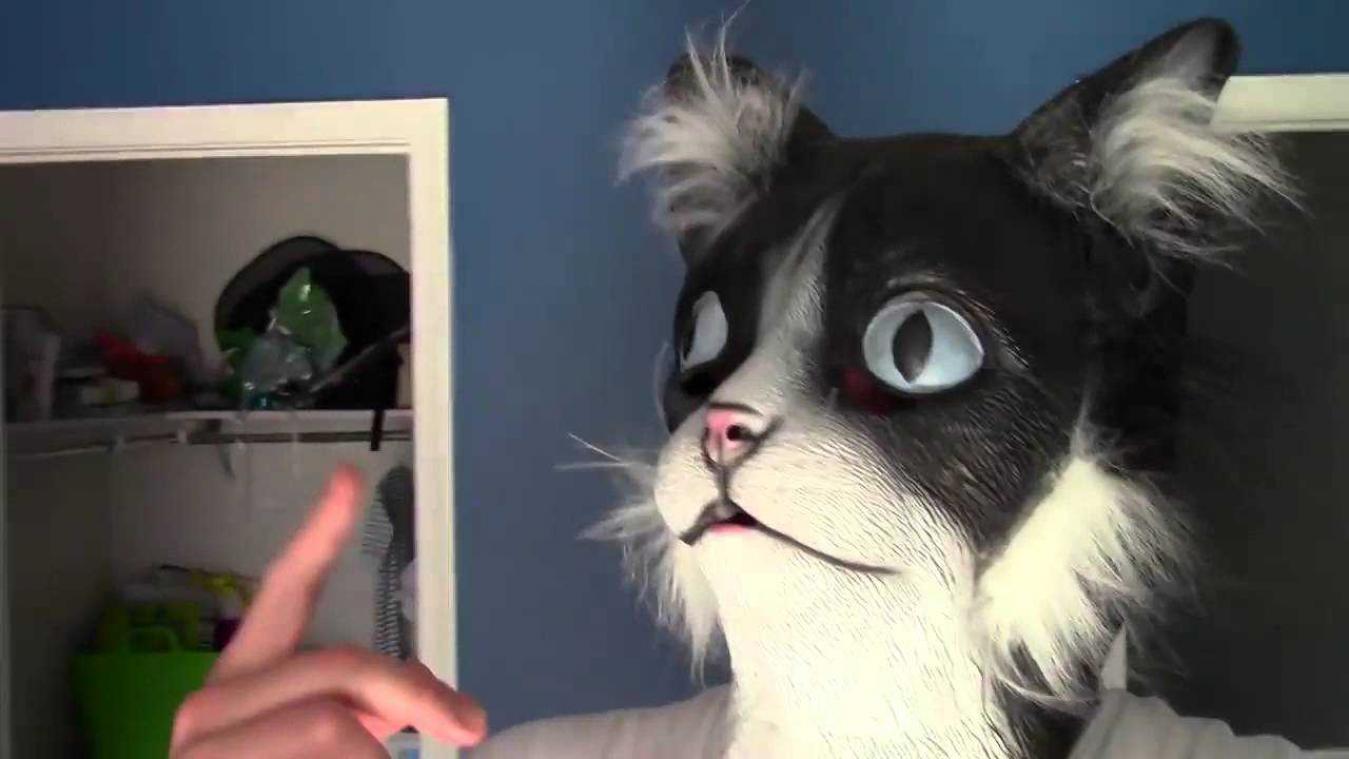 Katten schrikken zich een hoedje door poezenmasker