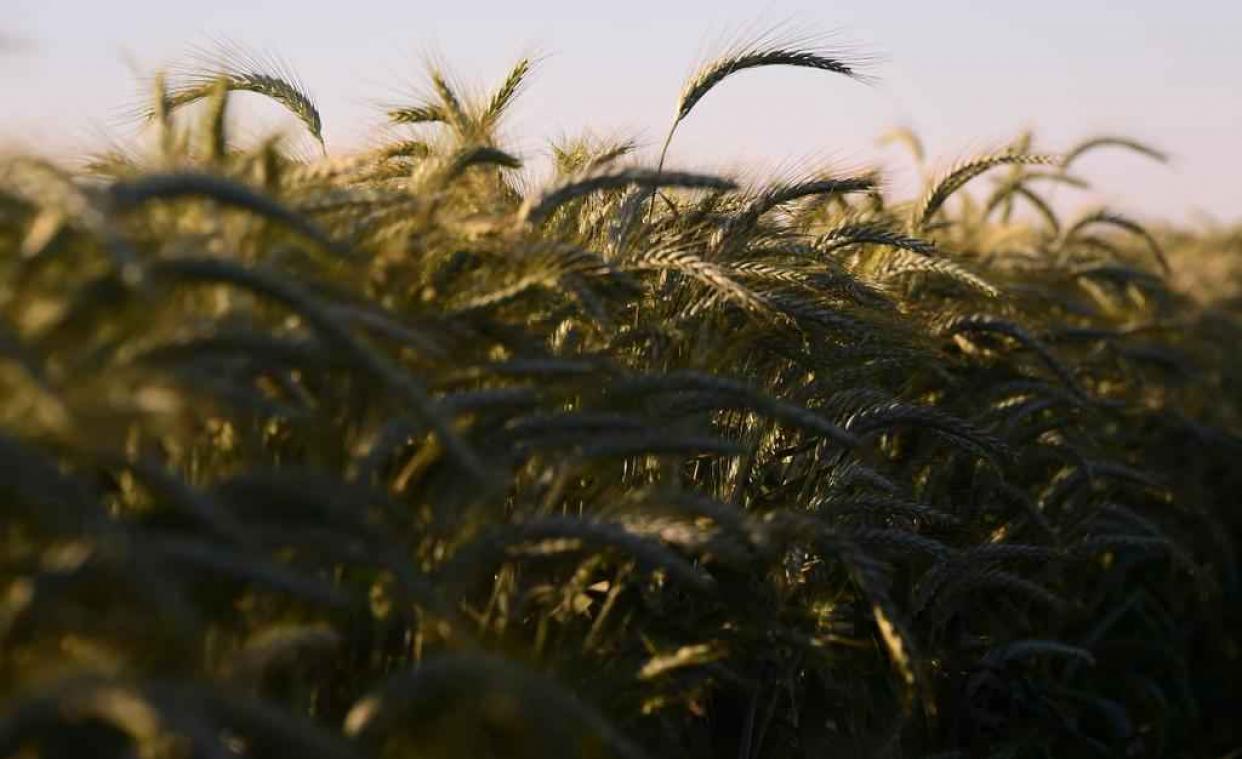 SDG: De strijd tegen de hongersnood