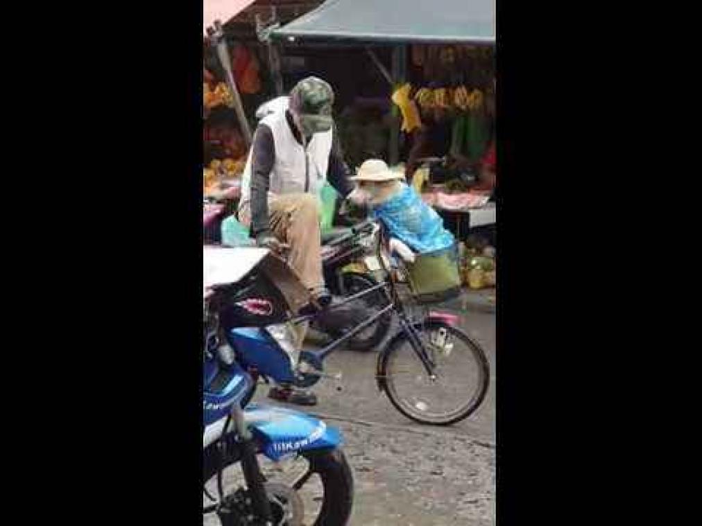 VIDEO. Man probeert hond droog te houden