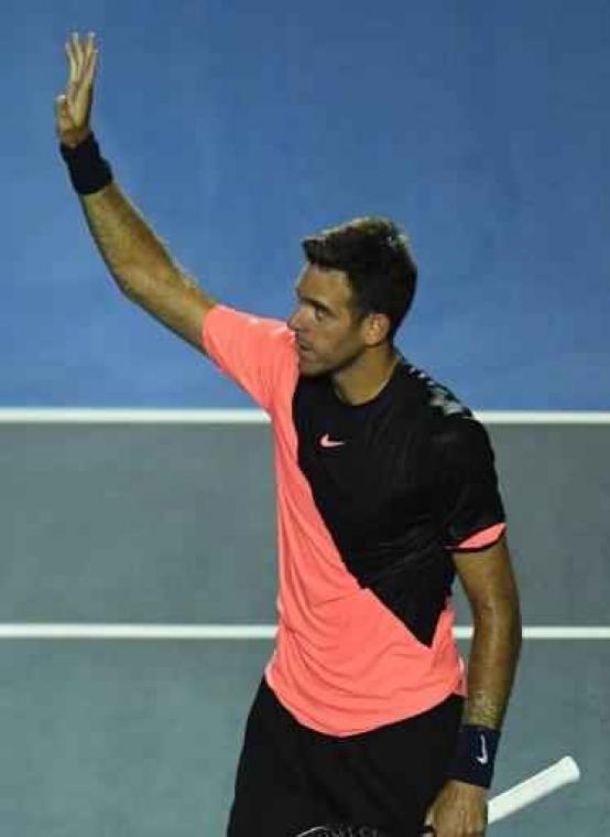 ATP Acapulco - Del Potro en Anderson spelen om de titel
