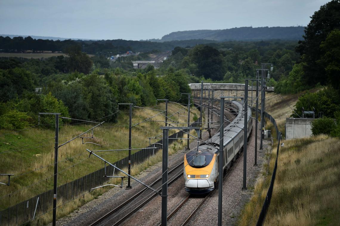 Eurostar-passagiers zitten hele nacht vast na aanrijding met everzwijn