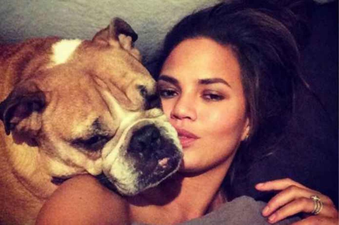 Chrissy Teigen rouwt om haar overleden bulldog