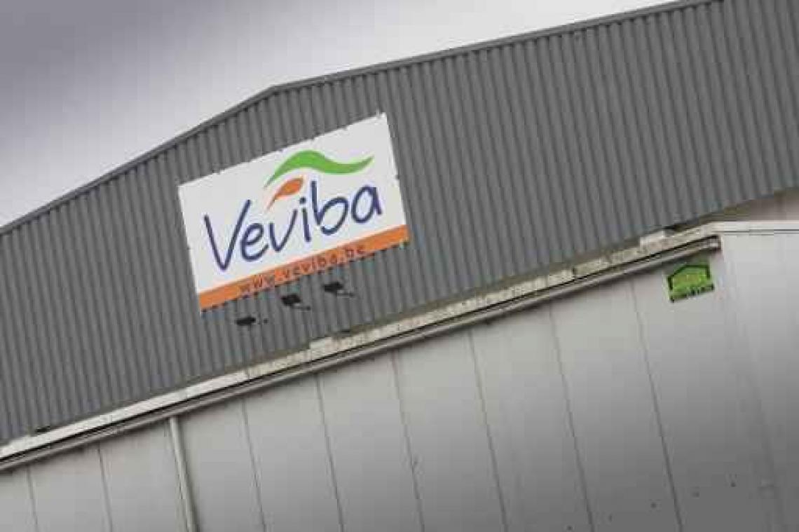 Greenpeace: "Industriële vleesproductie is rot tot op het bot"
