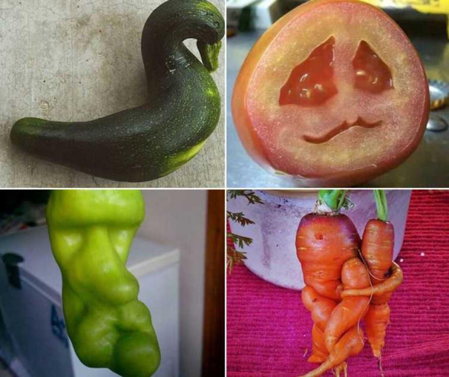 Lelijk fruit en groenten zijn ster van dit Instagramaccount