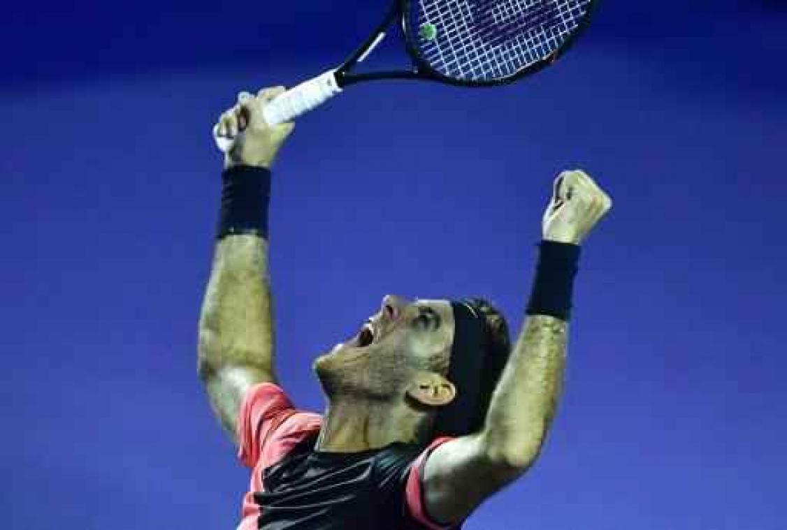 ATP Indian Wells - Juan Martin del Potro is laatste halvefinalist