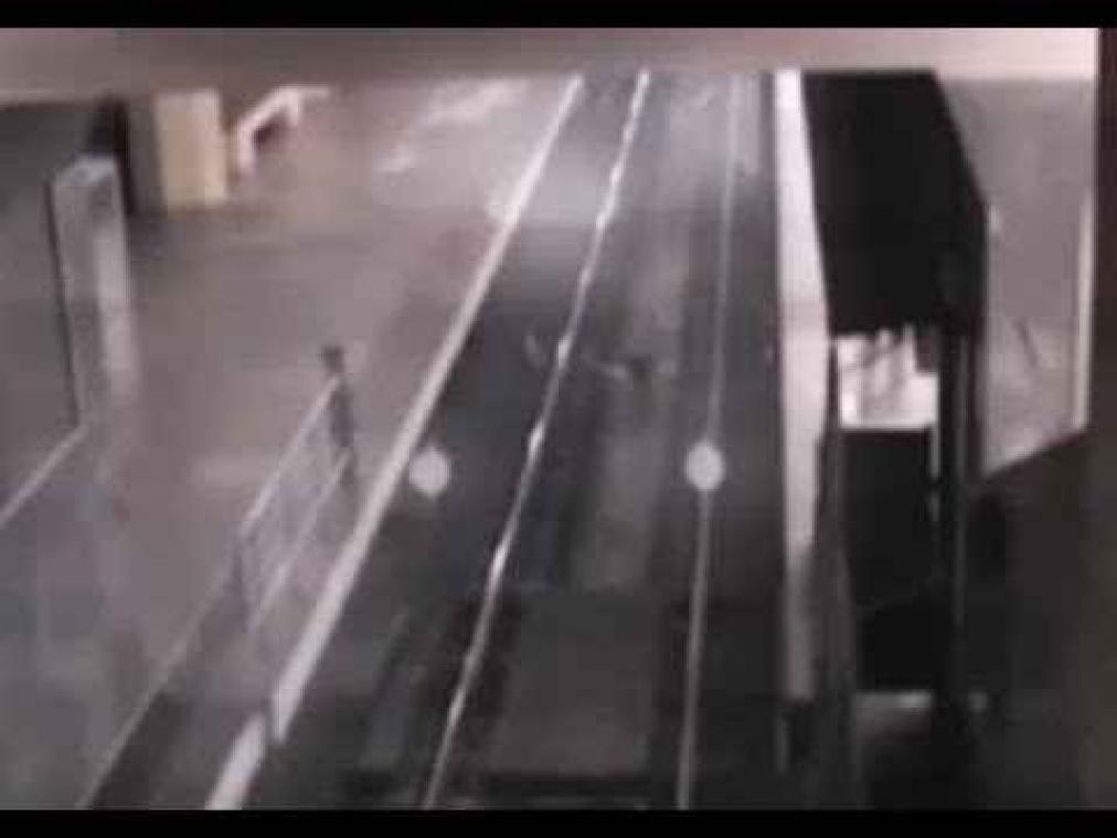 VIDEO. Spooktrein brengt internet in de war