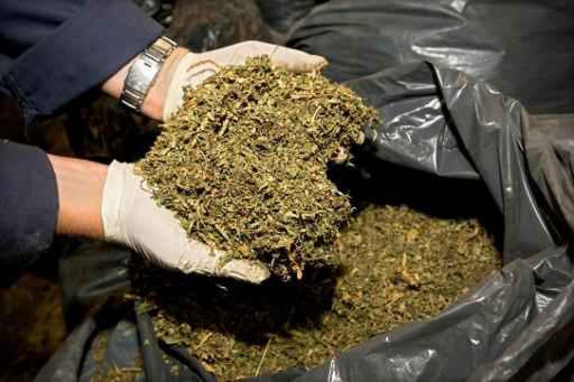 "Belgisch cannabisbeleid faalt"