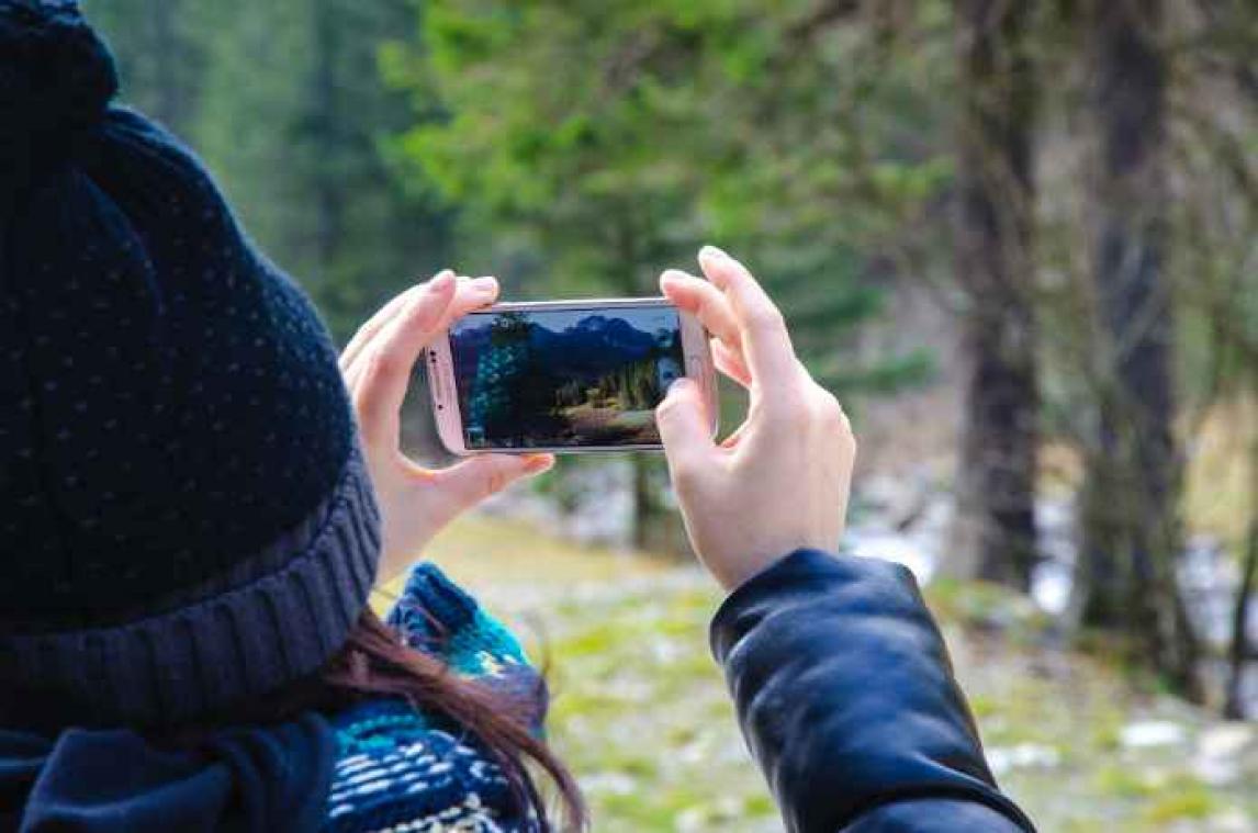 Applicatie herkent planten, bloemen en insecten