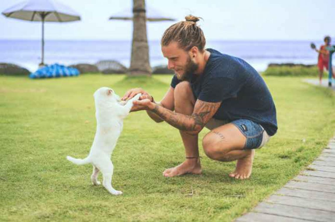 Applicatie brengt honden en dierenliefhebbers samen