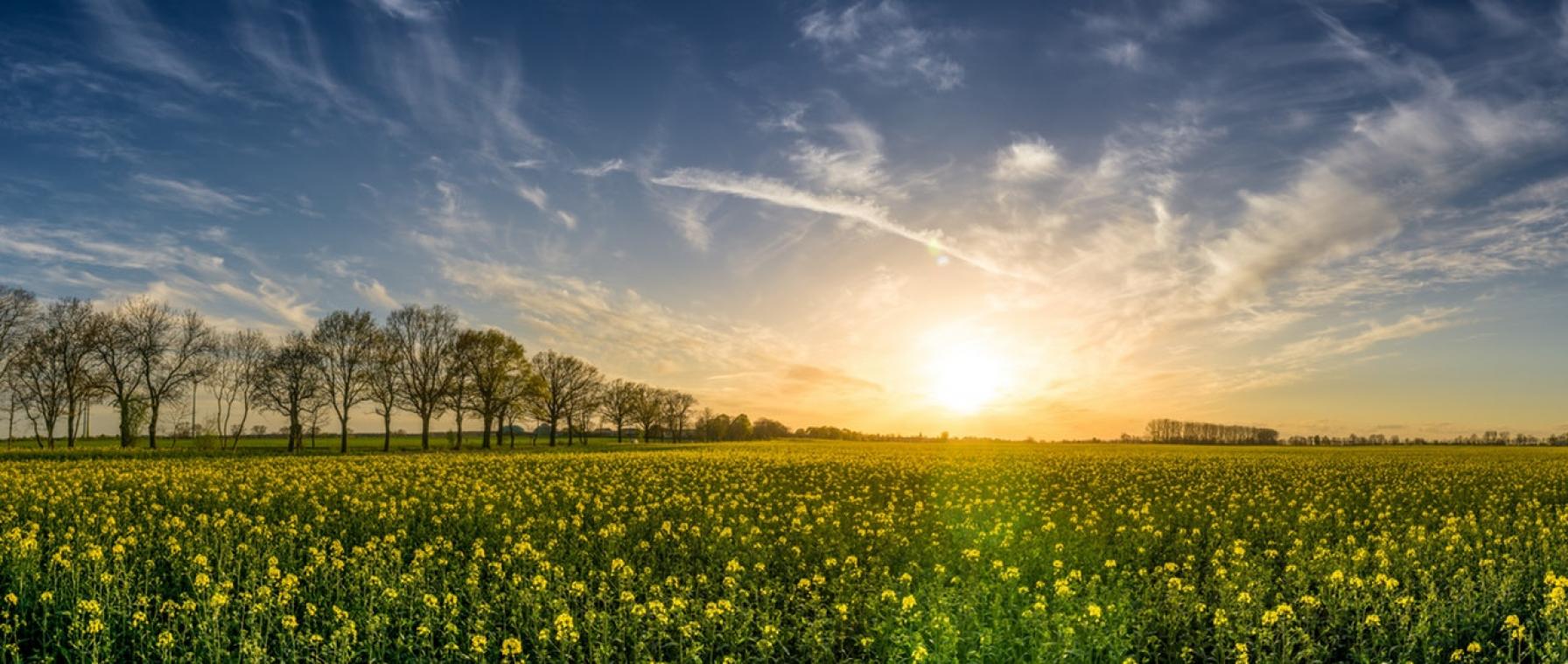 Wat is jouw ervaring met allergieën?