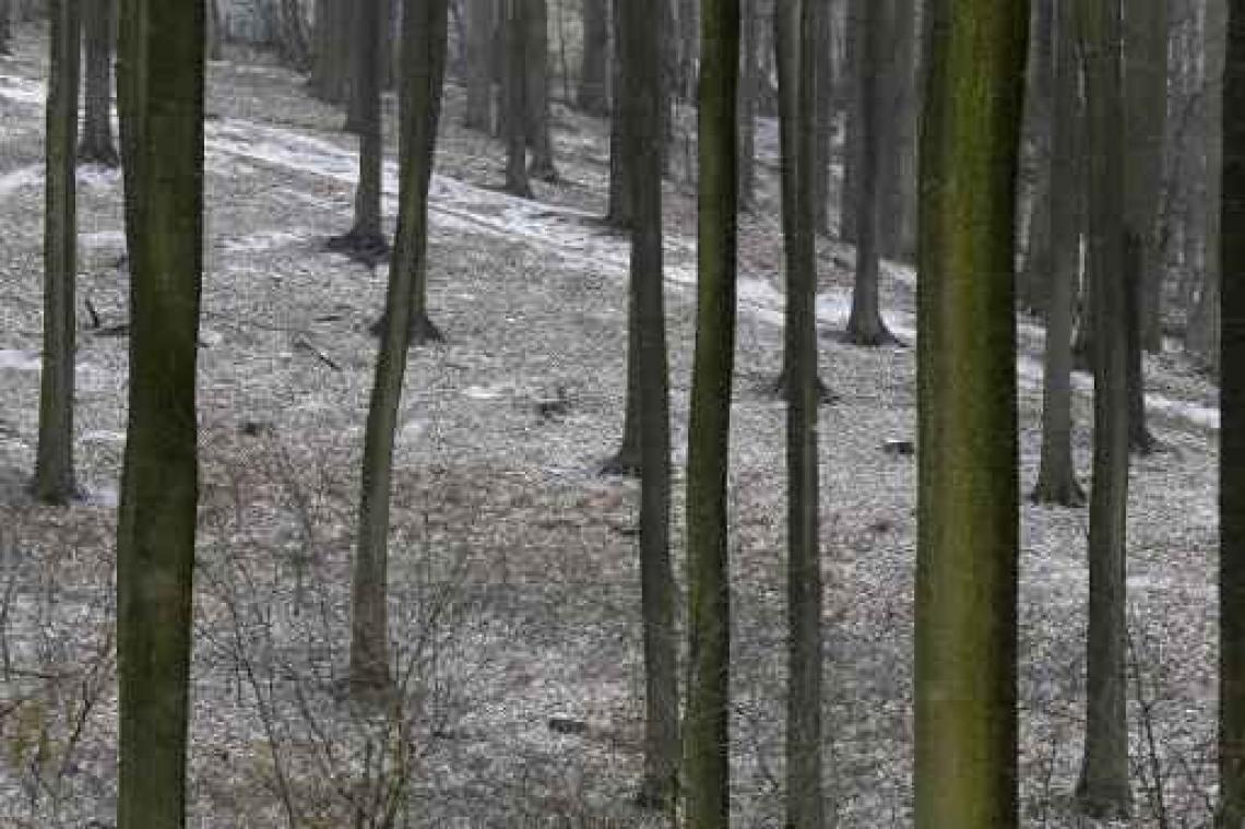 Doorsnee maand maart achter de rug