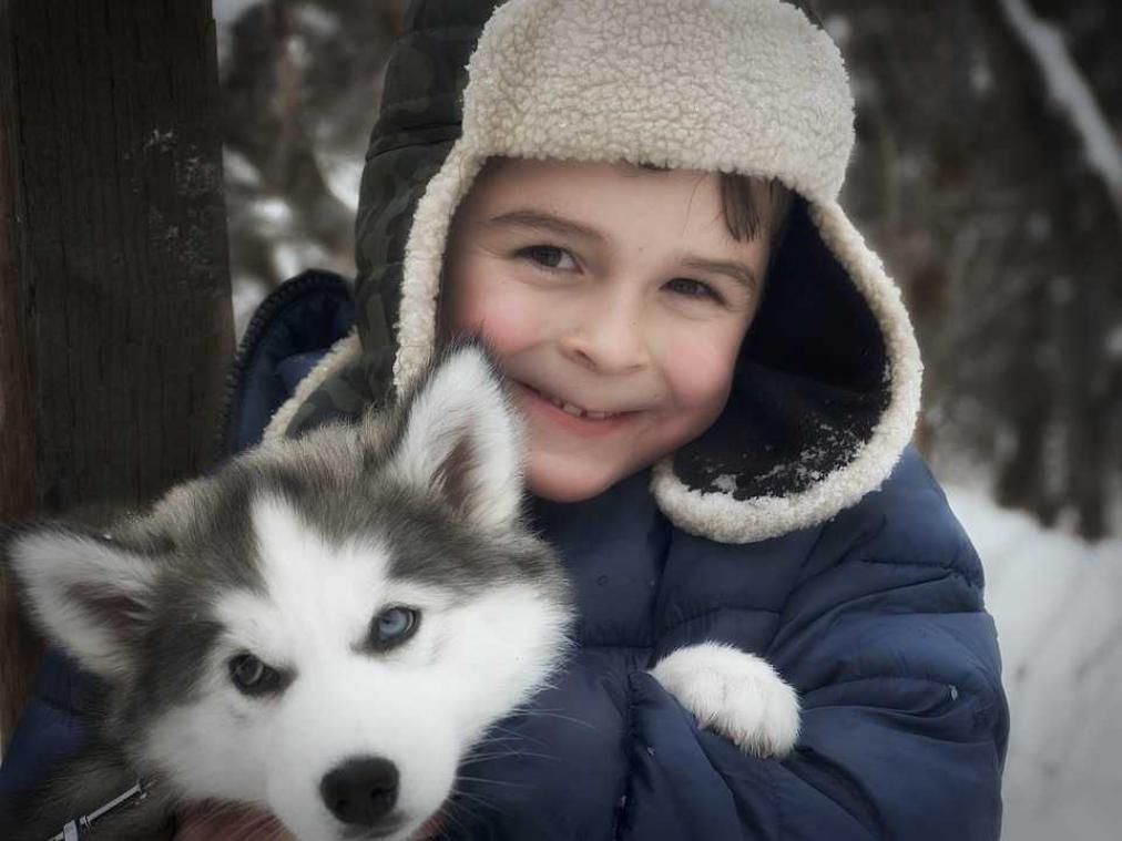Honden maken kinderen minder angstig