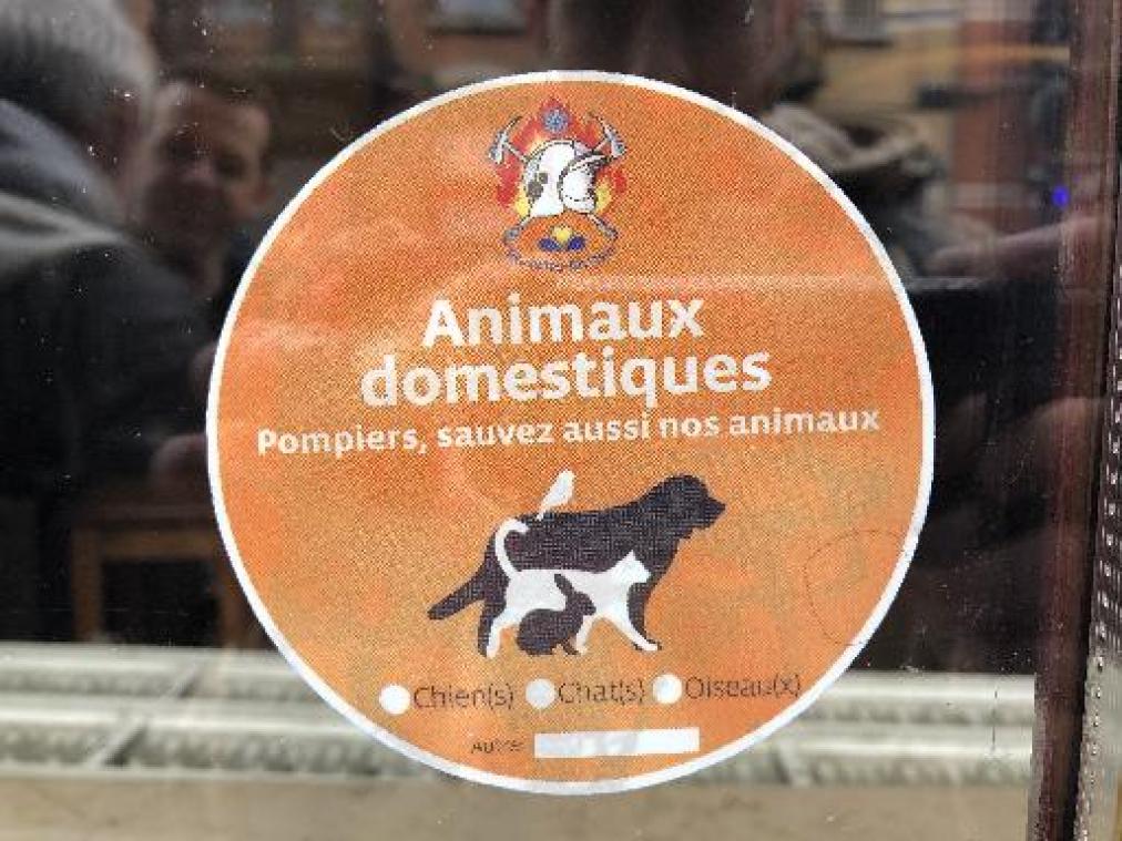 Brussel heeft ook zijn huisdierensticker voor noodgevallen