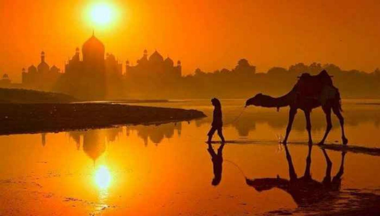 10 perfect getimede foto's om de dag goed te beginnen