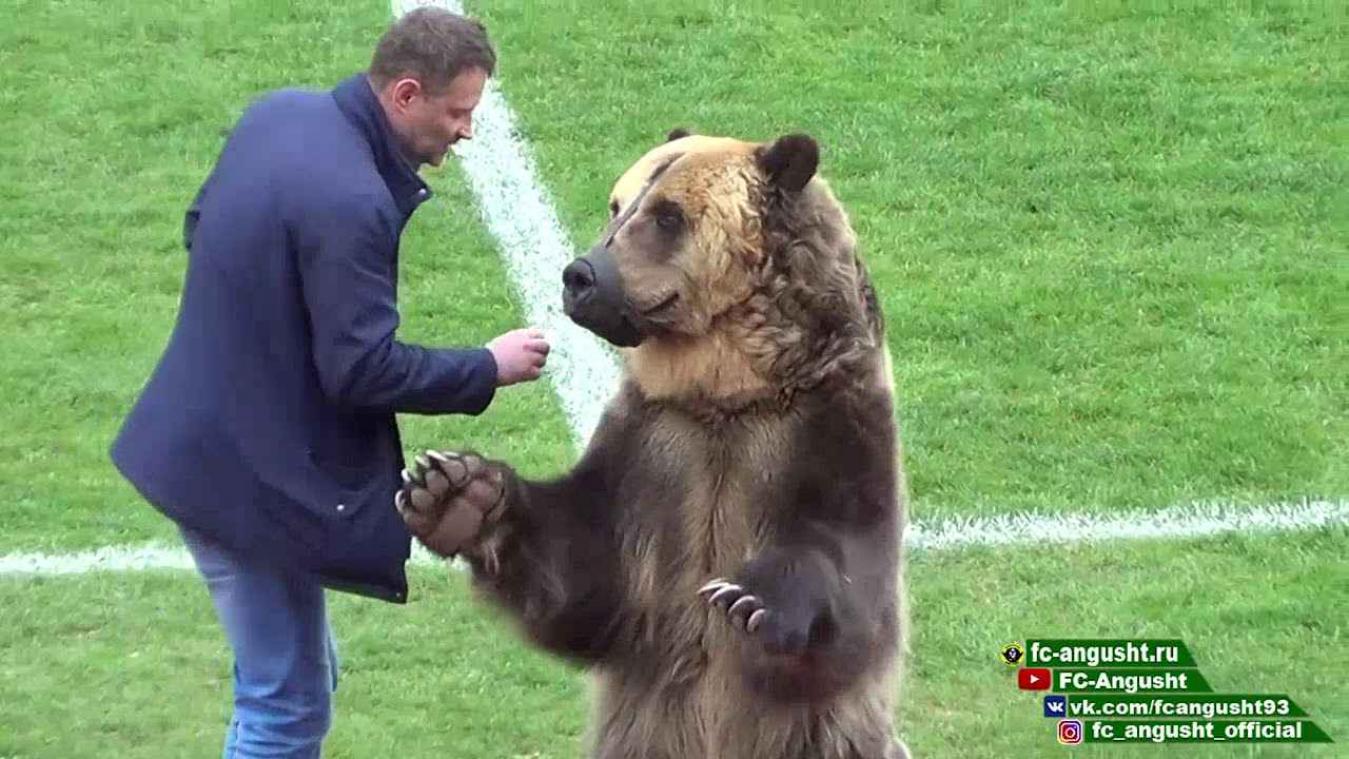 VIDEO. Beer overhandigt voetbal aan scheidsrechter