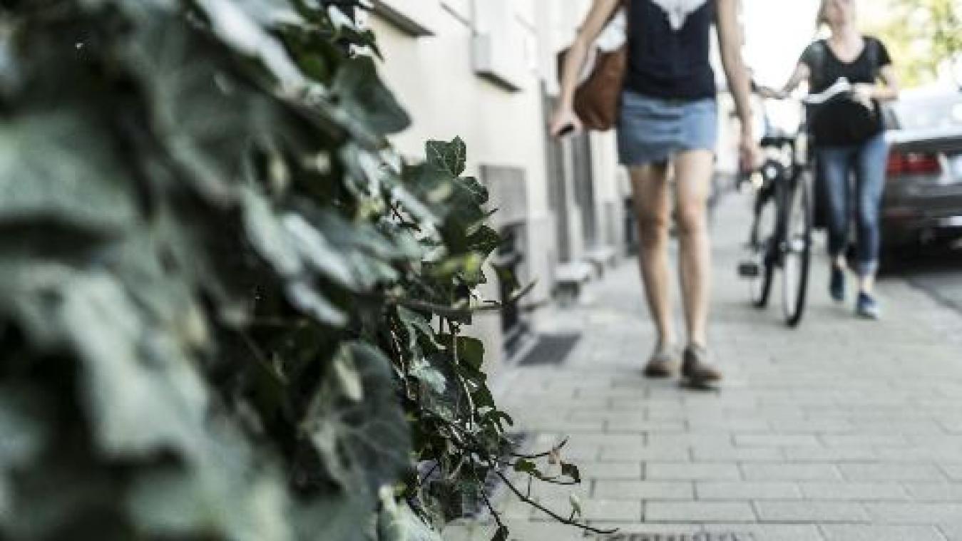 Gentenaars vragen massaal 'geveltuintjes' aan