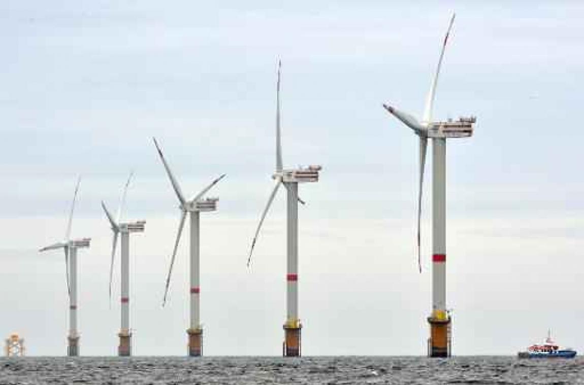 Sector: "Nieuw windmolenpark te klein om zonder subsidies te kunnen draaien"
