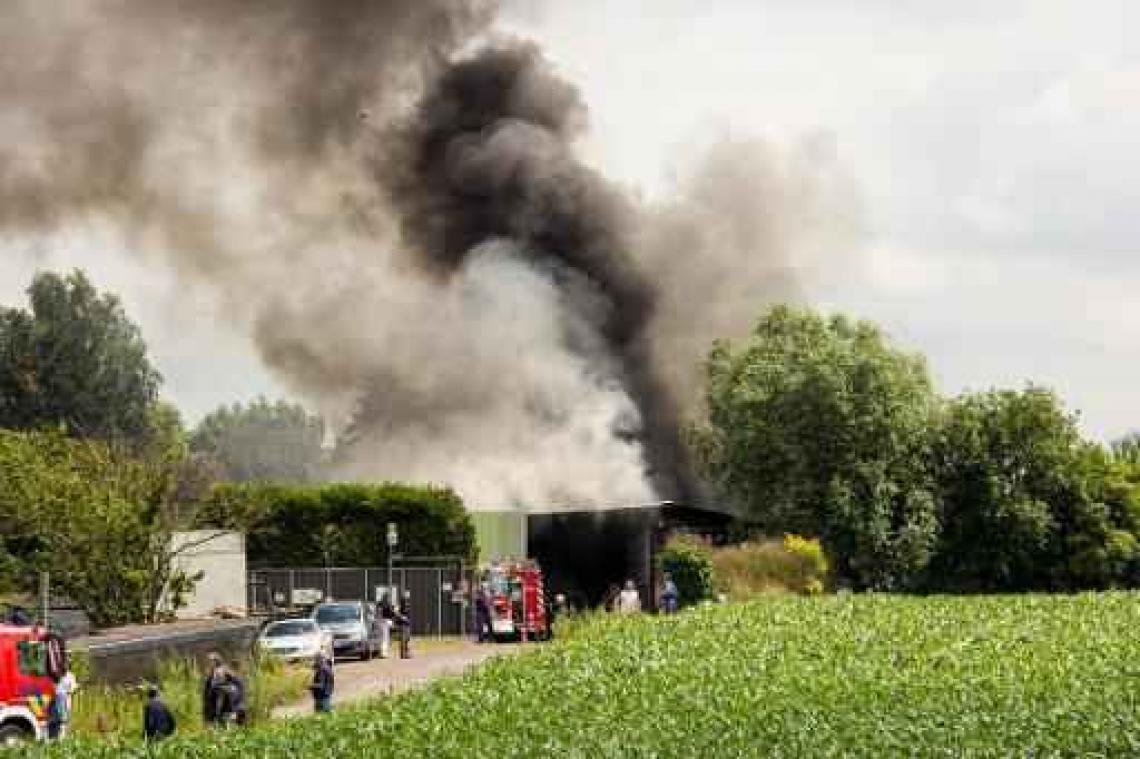 70.000 kippen komen om bij stalbrand in Beerse