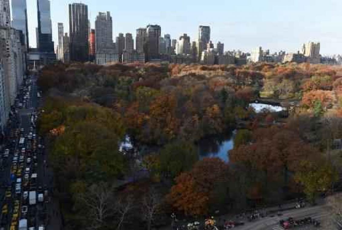 Central Park in New York vanaf deze zomer autoloos