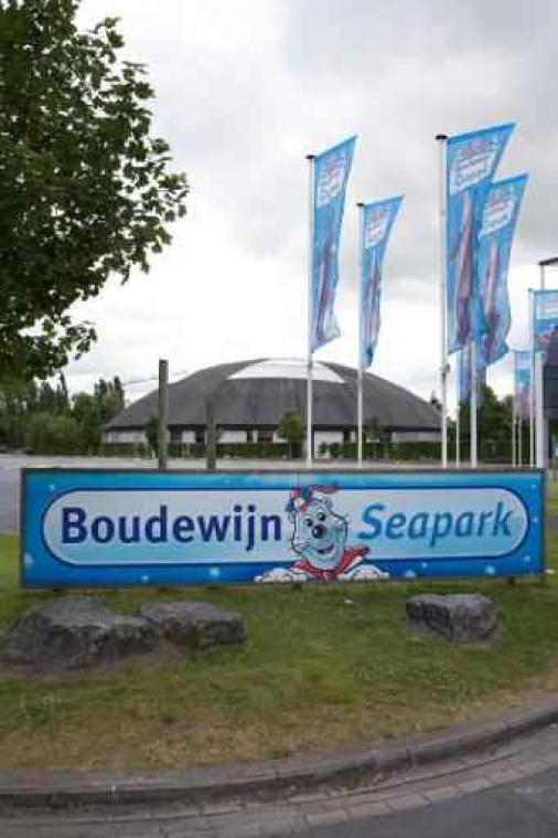 Boudewijn Seapark wacht details nieuw richtlijnen voor dolfinarium af